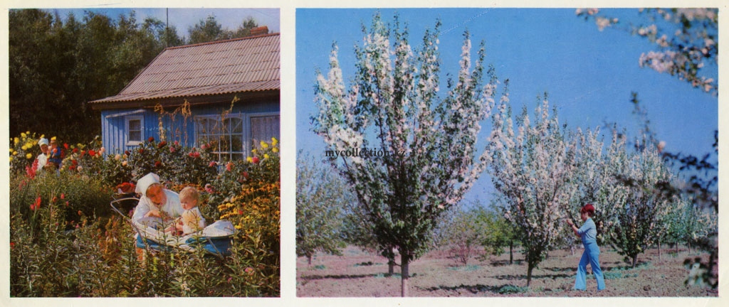 Tselinograd-Priishimye-1976-Shortandy District.jpg