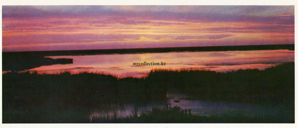 Priishimye-On Lake Tengiz 1976.jpg