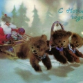 Тройка медвежат в упряжке Деда Мороза