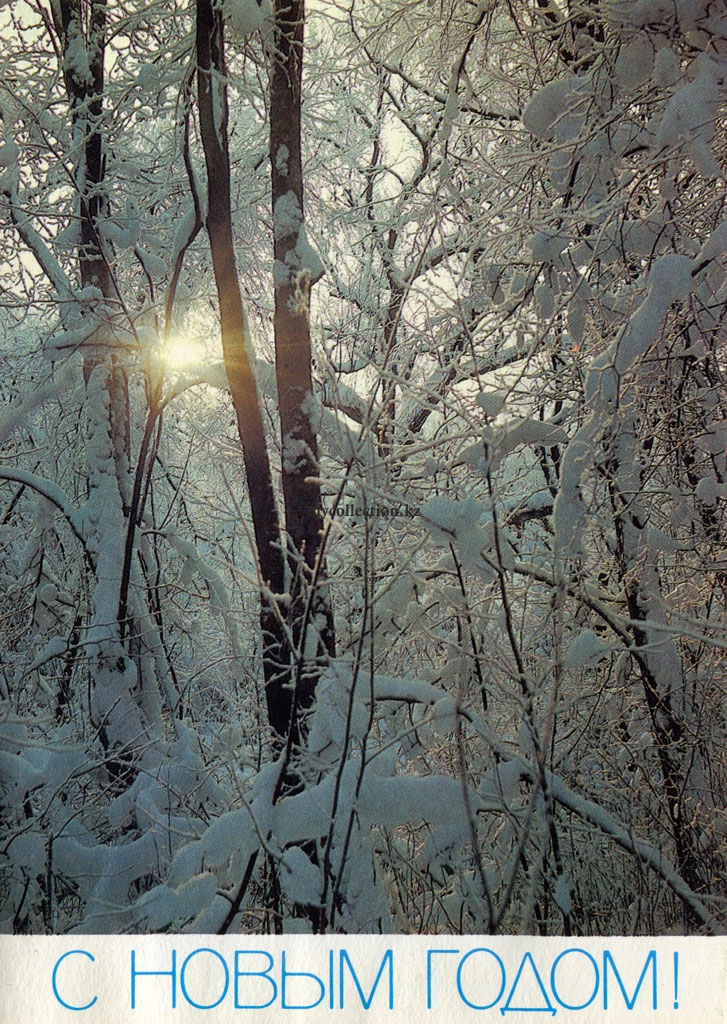 Winter Forest Tale. Photo by V. Zhavoronkov 1987.jpg