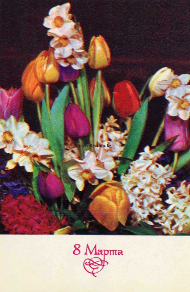 Flowers for 8 March 1970 - postcard USSR - Цветы к 8 Марта - Международный женский день.jpg