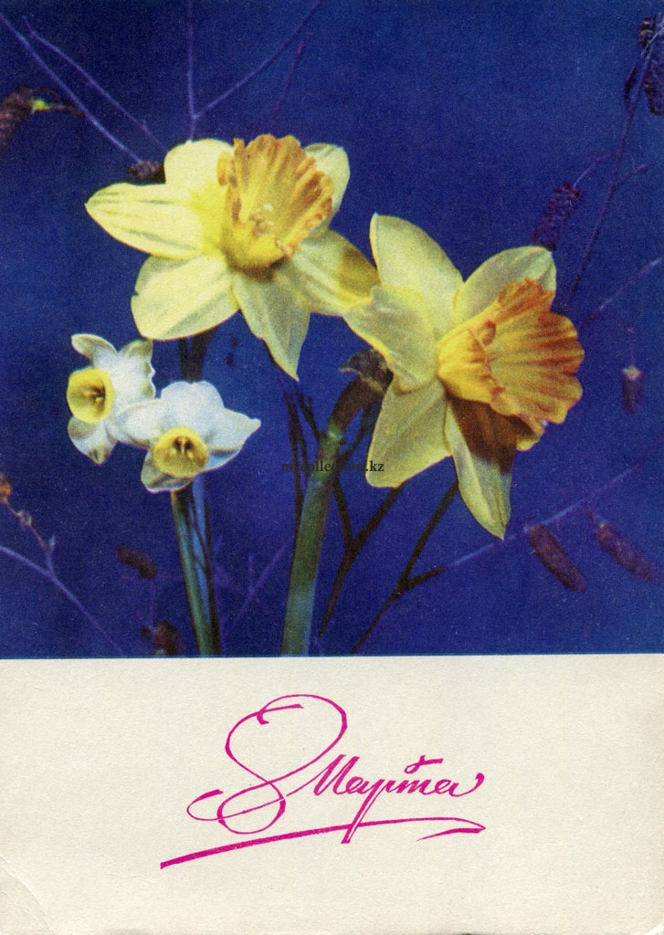 8 March postcard 1970 - Международный женский день - Internationaler Frauentag.jpg