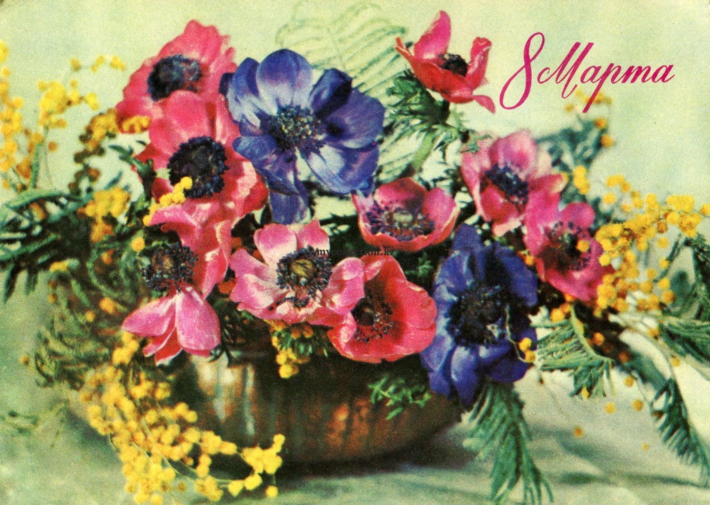 postcard flowers - Beautiful picture on March 8 1976 - Дергилев - Открытка с 8 Марта.jpg