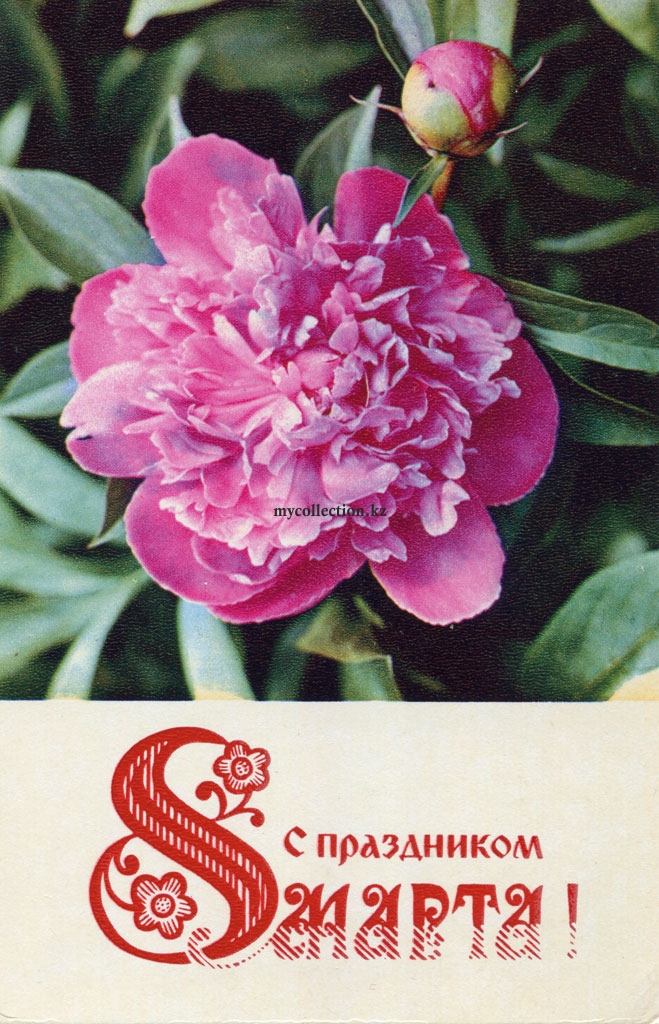 8 Marta 1974 postcard - С праздником 8 Марта .jpg