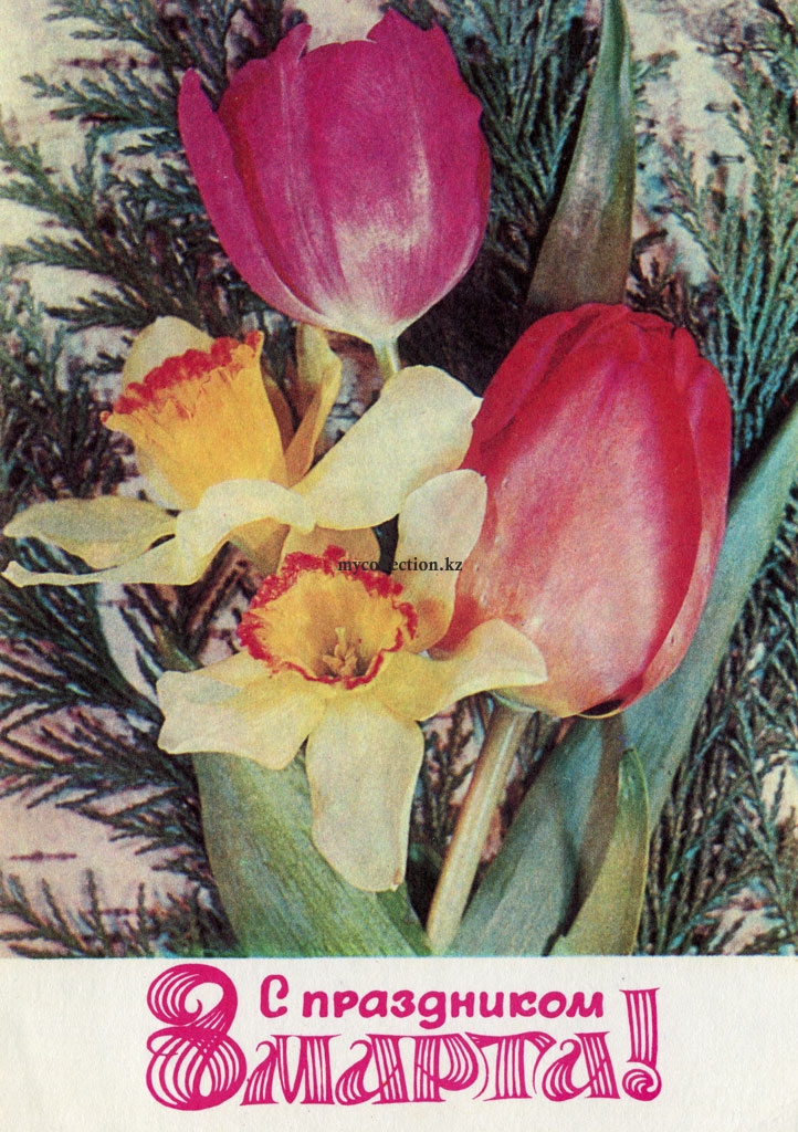 С праздником 8 Марта  - On the 8th of March - postcard USSR -1977.jpg