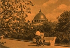 Вид из Мичуринского сада на павильон «Машиностроение»