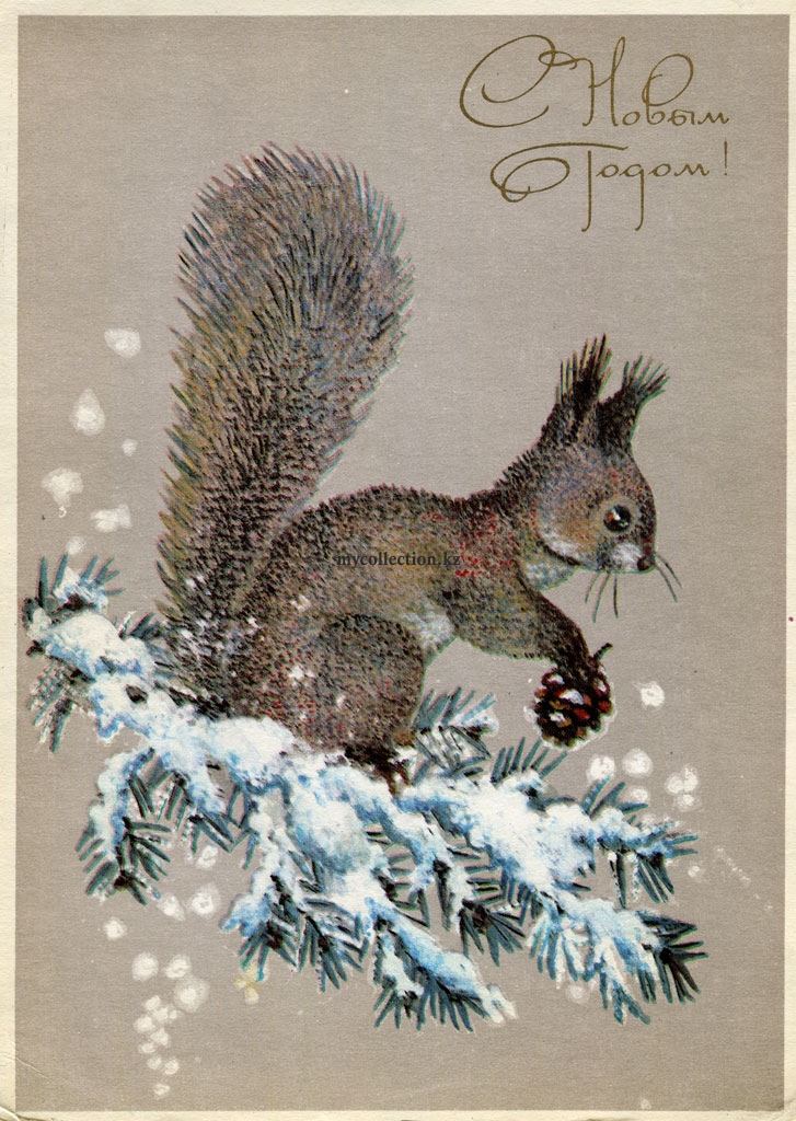 New Year's card 1980 - Белочка на елочке шишечку грызет.jpg
