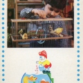 воспитание мальчика 5-6 лет  - Играем, учимся, познаем - уход за животными.jpg