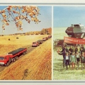Брежнев Целина - Brezhnev Virgin Land - Автопоезда с первым урожаем - 80 000 тонн зерна.jpg