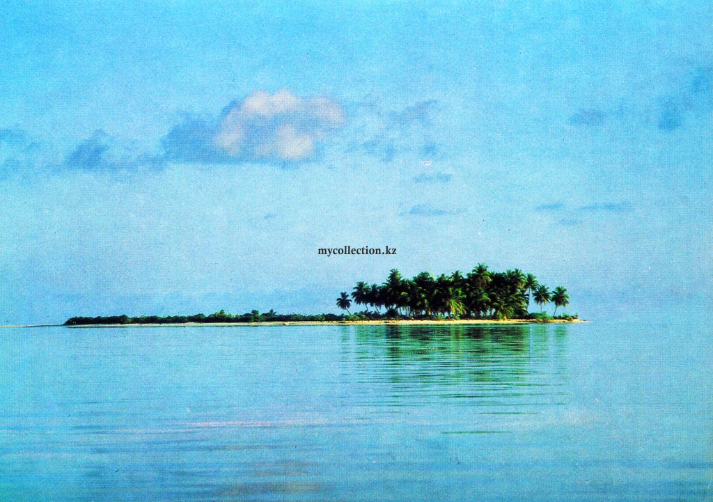 Coral atoll - Коралловый атолл.jpg