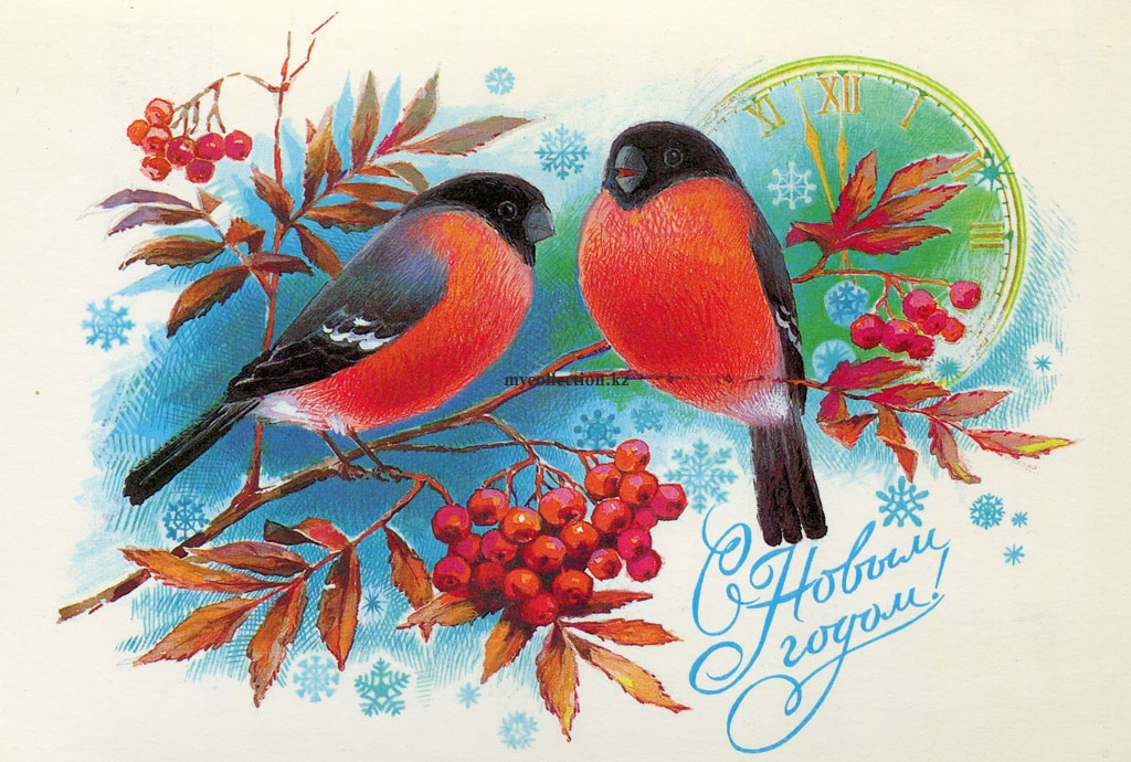 USSR_Post_Card_New_Year_1984 - Два снегиря на зимней веточке рябины.jpg