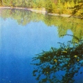 Озеро в парке имени М. Горького