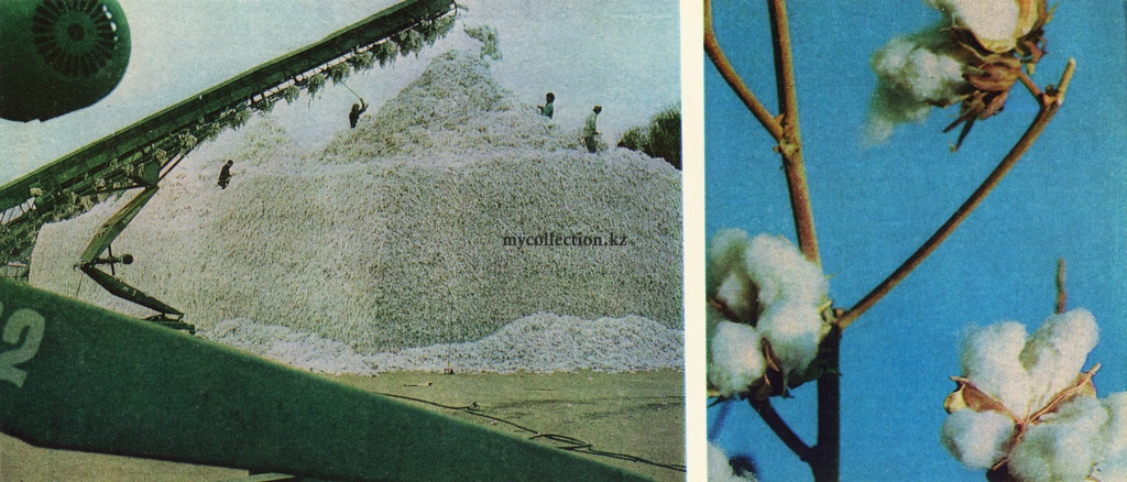 Shymkent cotton ginning plant 1983.jpg