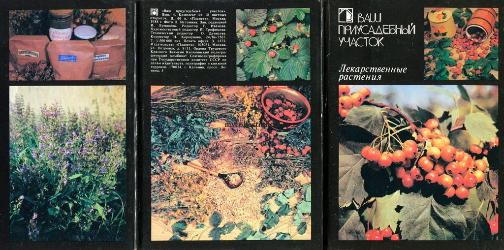 Лекарственные растения. Комплект открыток.